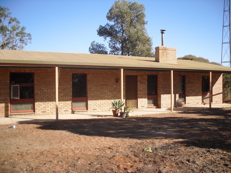 Caddy Road, Barmera SA 5345