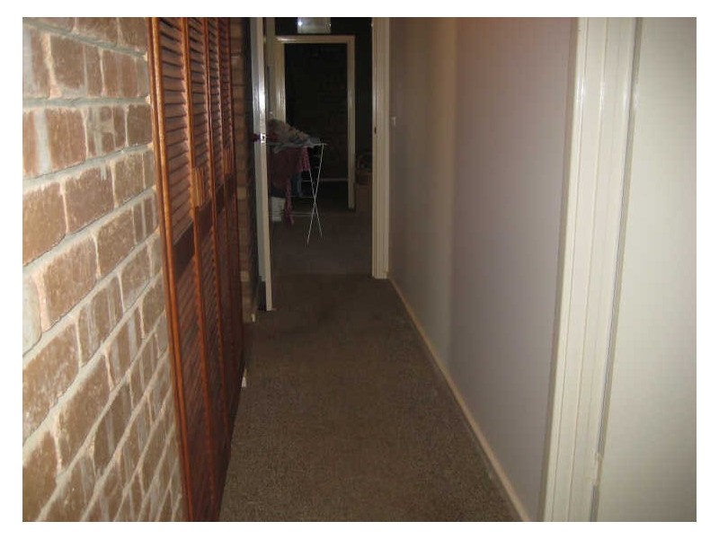 Caddy Road, Barmera SA 5345