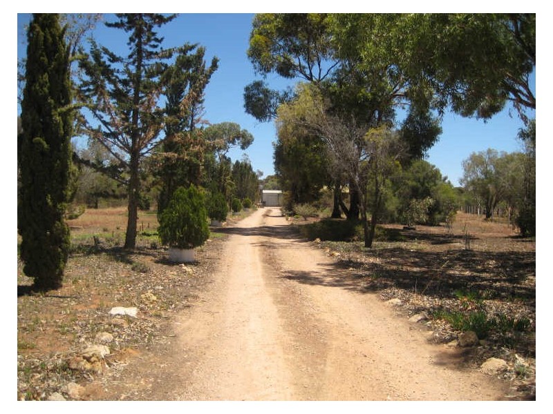 Caddy Road, Barmera SA 5345