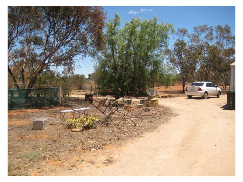 Caddy Road, Barmera SA 5345