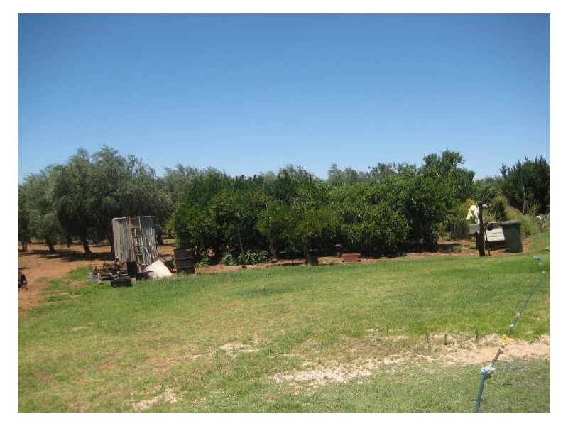 Section 1122, Gordon Road, Barmera SA 5345