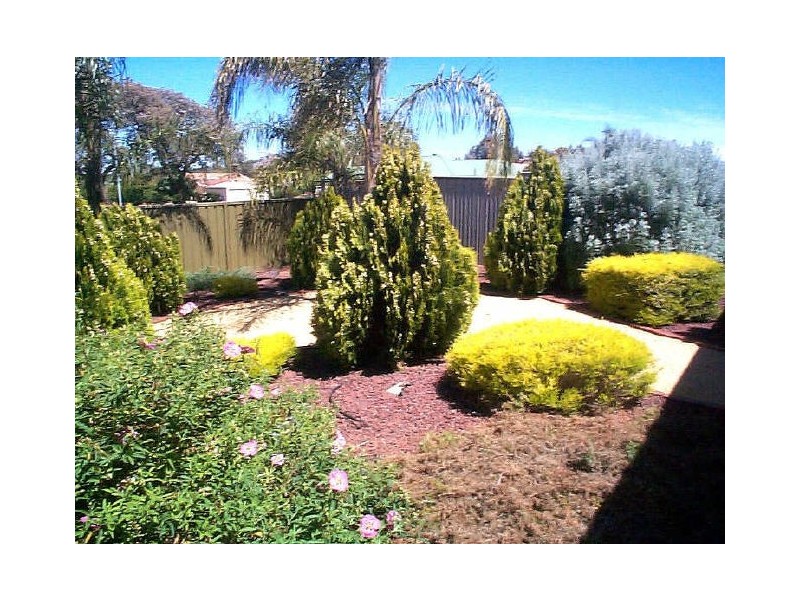 10B Magarey Street, Berri SA 5343