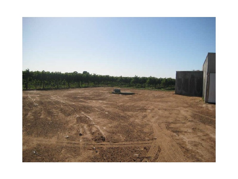 6 Namoi Street, Renmark SA 5341