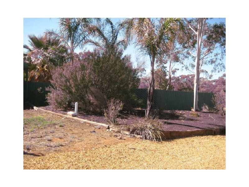 Lot 1 293 Jury Road, Monash SA 5342