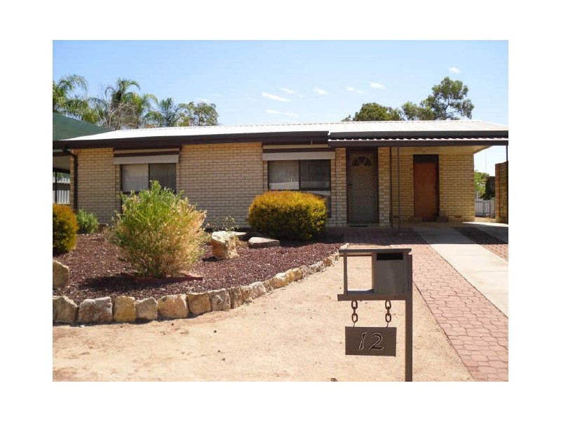 12 Vivian Cock Street, Berri SA 5343