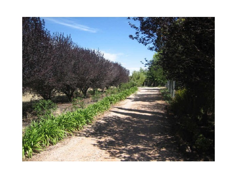 Gallery Terrace, Lyrup SA 5343