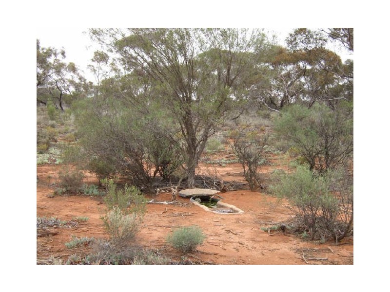 Hoskin Road, Berri SA 5343