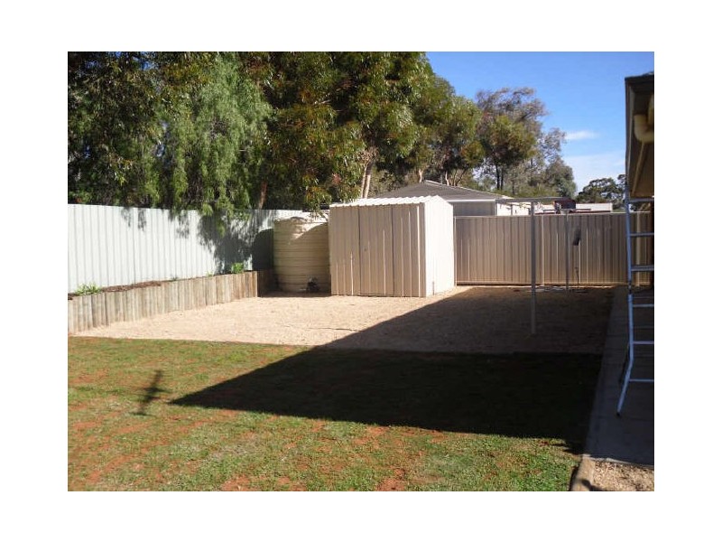 11 Bosman Drive, Berri SA 5343