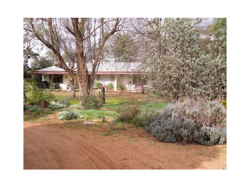 Section 124, Kingsbury Road, Loxton SA 5333