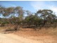 Lot 12, Thiele Road, Loveday SA 5345