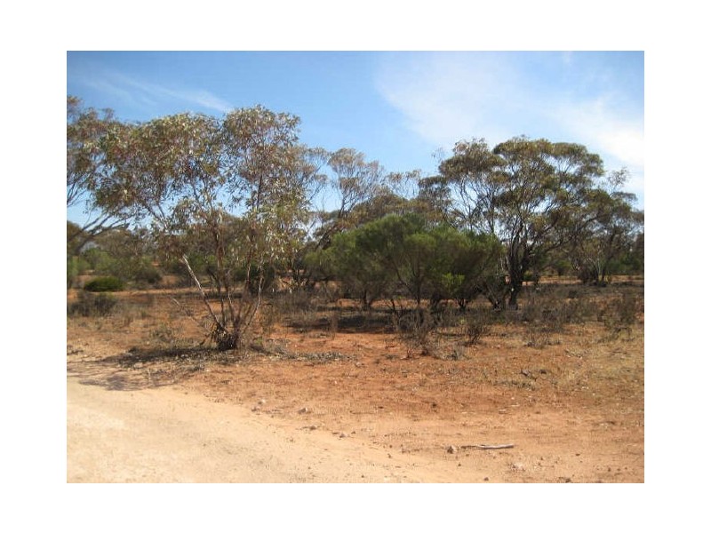 Lot 12, Thiele Road, Loveday SA 5345