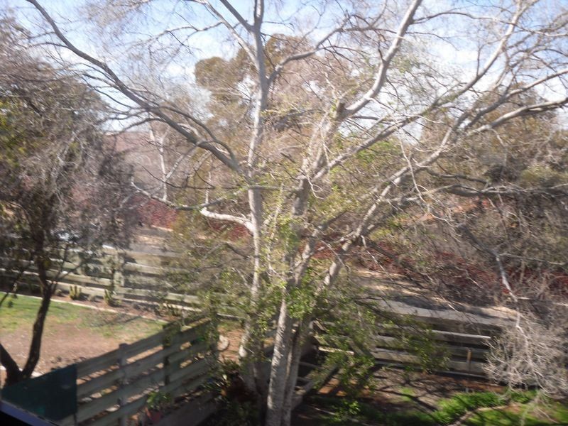 14 Derrick Street, Berri SA 5343