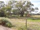 Section 229, Martins Road, Berri SA 5343