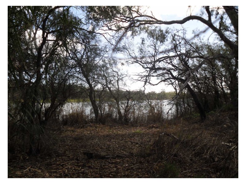 Section 229, Martins Road, Berri SA 5343