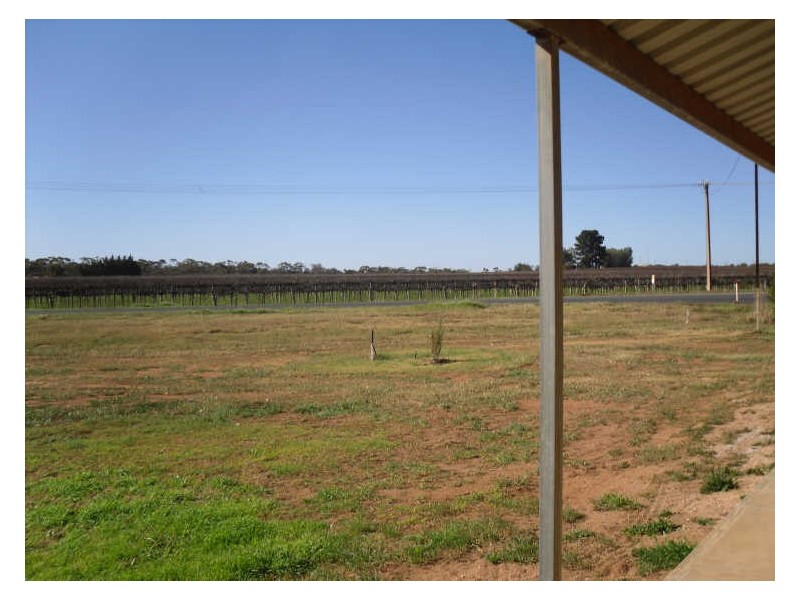 Section 502, Tooravale Road, Monash SA 5342