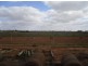 Lot 300, Forward Avenue, Loveday SA 5345