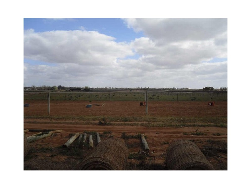 Lot 300, Forward Avenue, Loveday SA 5345