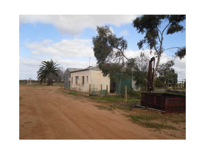 Lot 300, Forward Avenue, Loveday SA 5345