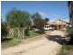 Section 562, Sturt Highway, Cobdogla SA 5346