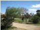 Section 562, Sturt Highway, Cobdogla SA 5346