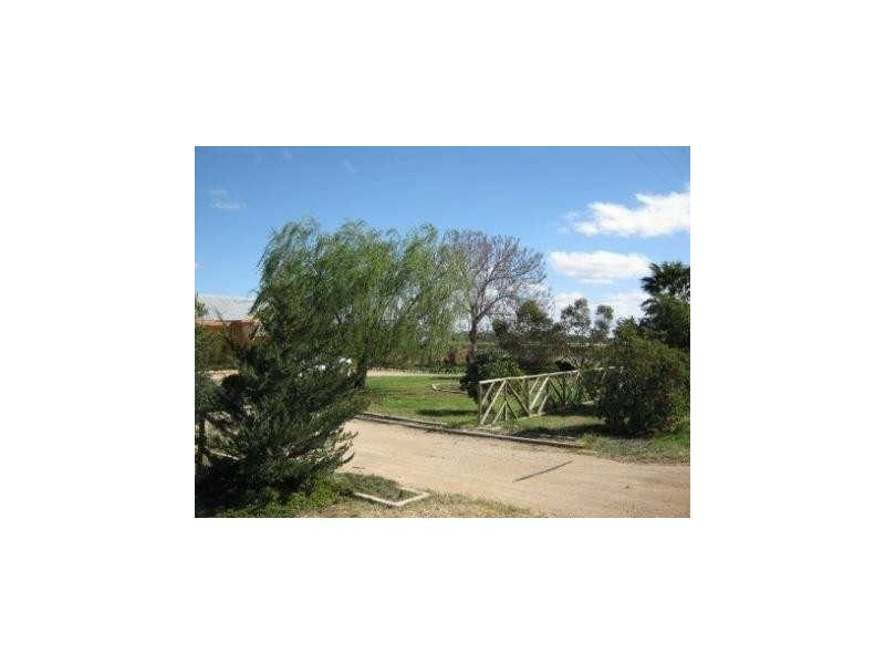 Section 562, Sturt Highway, Cobdogla SA 5346