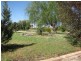 Section 562, Sturt Highway, Cobdogla SA 5346