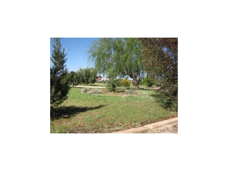 Section 562, Sturt Highway, Cobdogla SA 5346