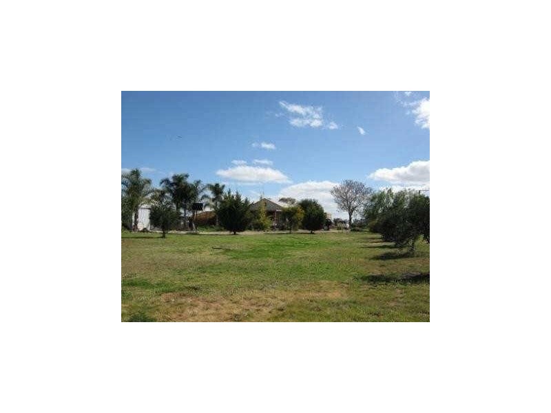 Section 562, Sturt Highway, Cobdogla SA 5346