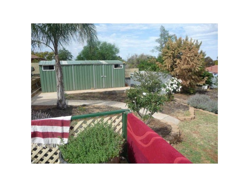 16 O’Malley Street, Berri SA 5343