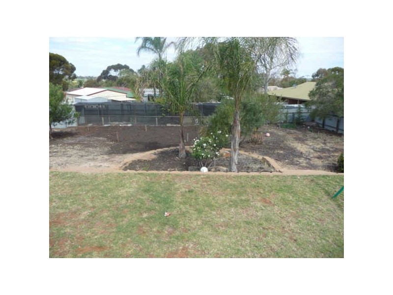 16 O’Malley Street, Berri SA 5343