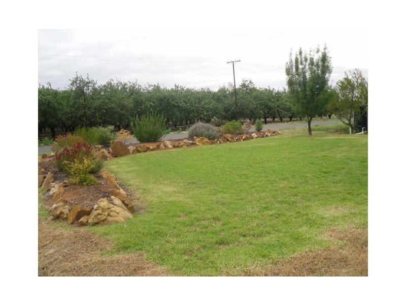 40 Eighth Street, Renmark SA 5341