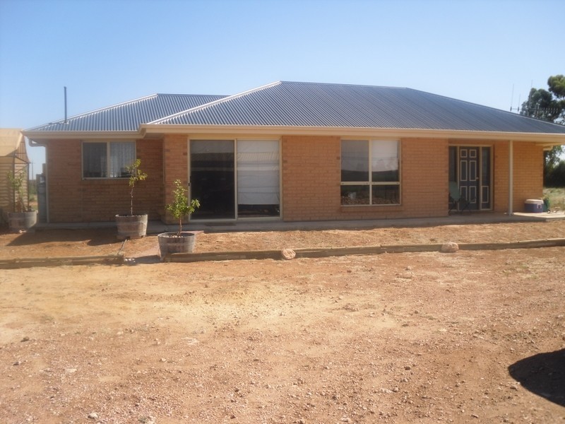 888 Coats Road, Loveday SA 5345
