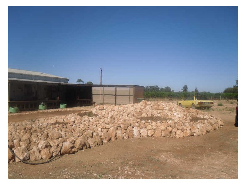 888 Coats Road, Loveday SA 5345