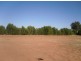 Section 25, Chowilla Street,, Renmark SA 5341