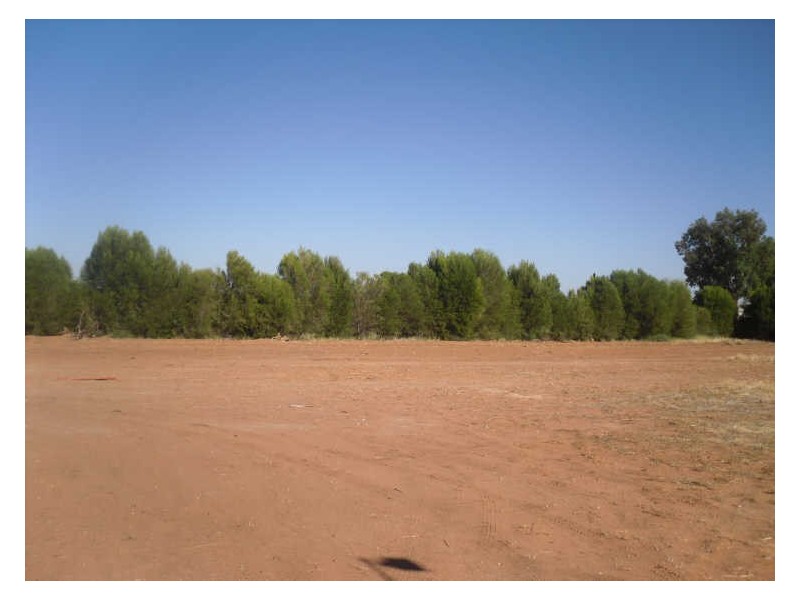 Section 25, Chowilla Street,, Renmark SA 5341