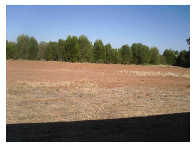 Section 25, Chowilla Street,, Renmark SA 5341
