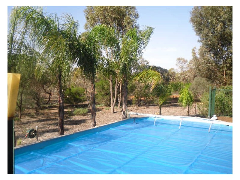 Section 228, Dalziel Road, Berri SA 5343