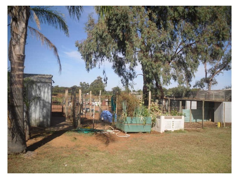 Section 872, Coats Road, Barmera SA 5345