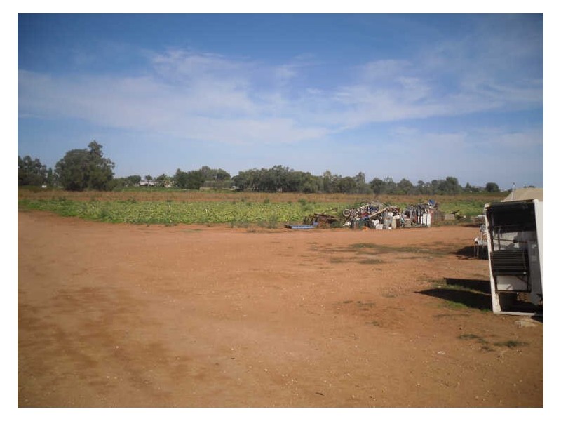 Section 872, Coats Road, Barmera SA 5345