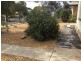 13 Clark Street, Berri SA 5343