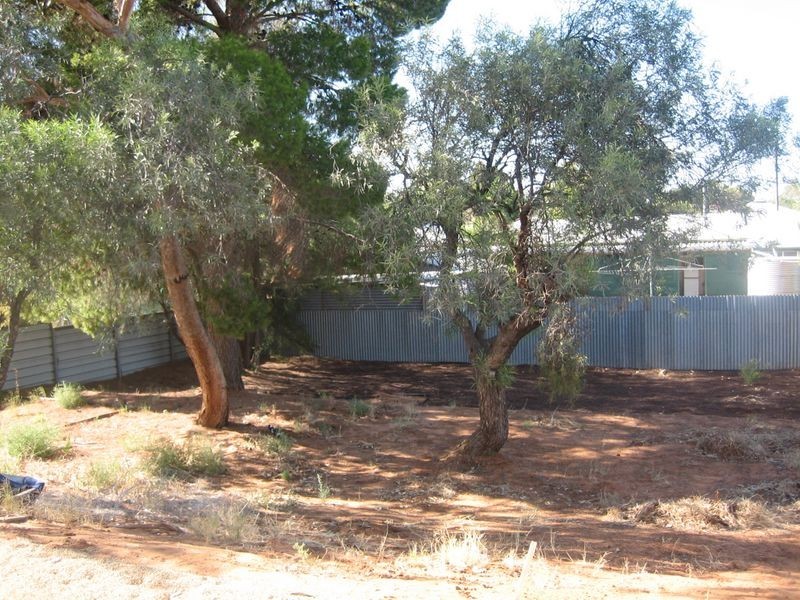 29 Mcgregor Street, Berri SA 5343