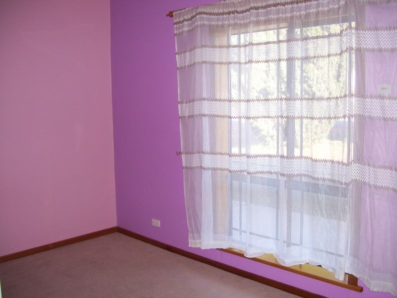 Section 55 Hombsch Road, Cobdogla SA 5346