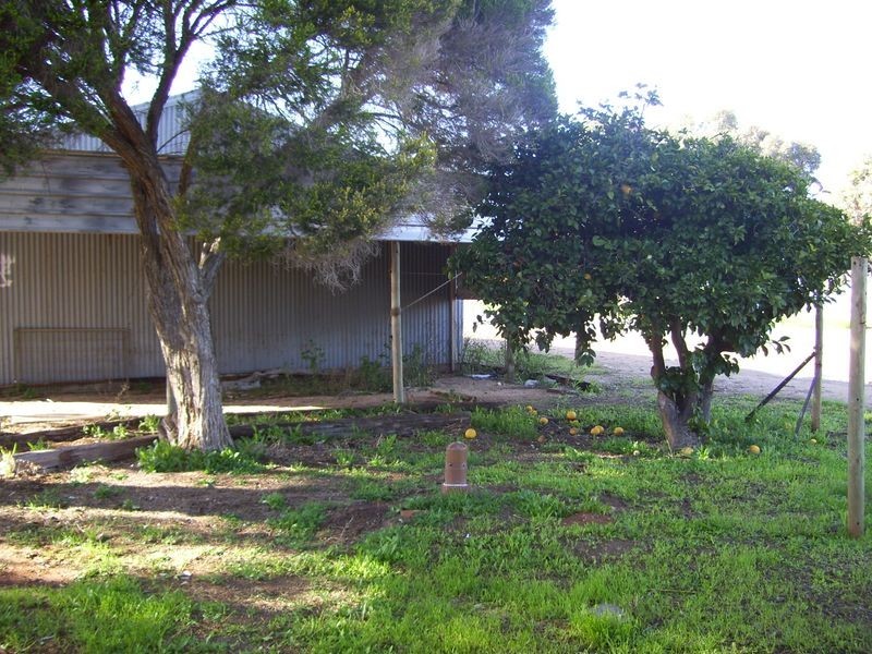 Section 55 Hombsch Road, Cobdogla SA 5346