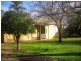 Lot 1 Dorsch Avenue, Loxton SA 5333
