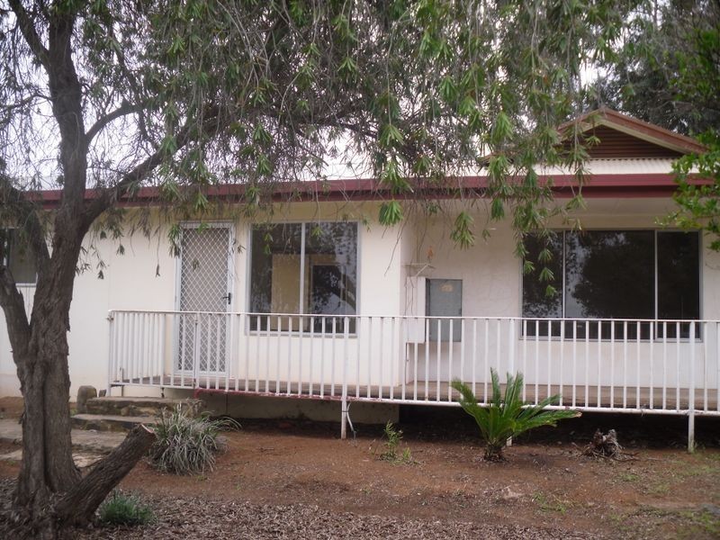 17 Fenwick Street, Berri SA 5343