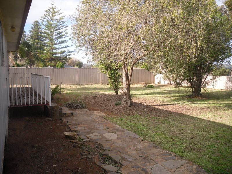 17 Fenwick Street, Berri SA 5343