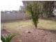 17 Fenwick Street, Berri SA 5343