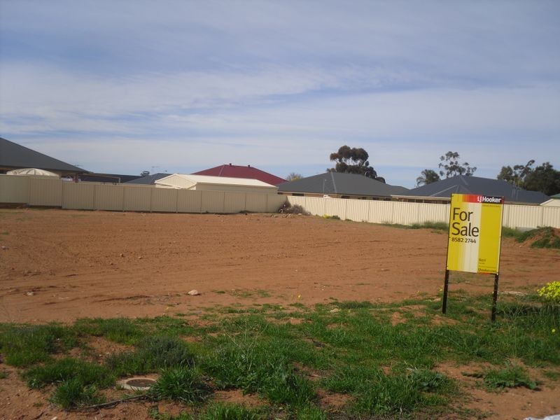 3 Wills Court, Barmera SA 5345
