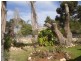 Spiller Road, Cobdogla SA 5346