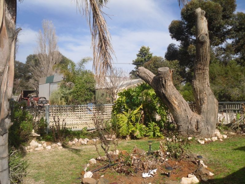 Spiller Road, Cobdogla SA 5346